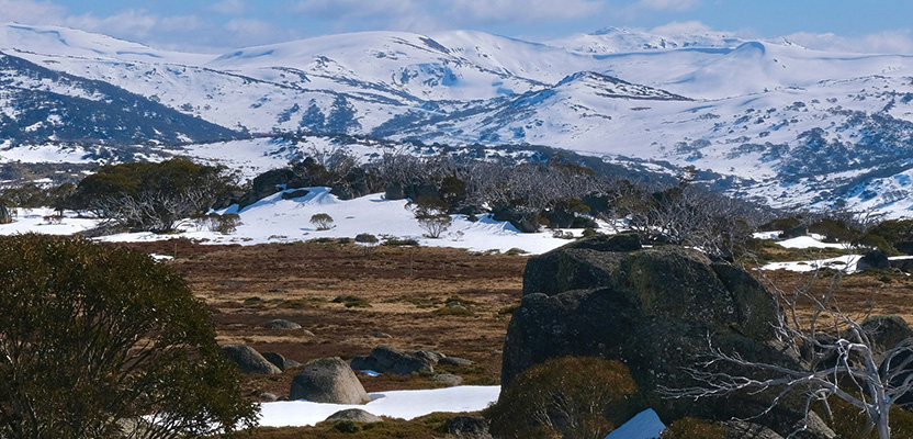 The Academy’s impact in history: Scientific rigour in the formation of Australia’s National Parks